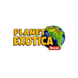 Planet Exotica 