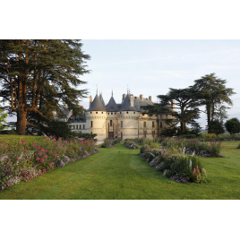 Domaine Chaumont Sur Loire : château + parcs + festival + expositions