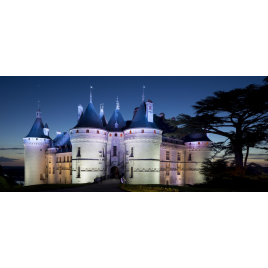 Domaine Chaumont Sur Loire : château + parcs + festival + expositions
