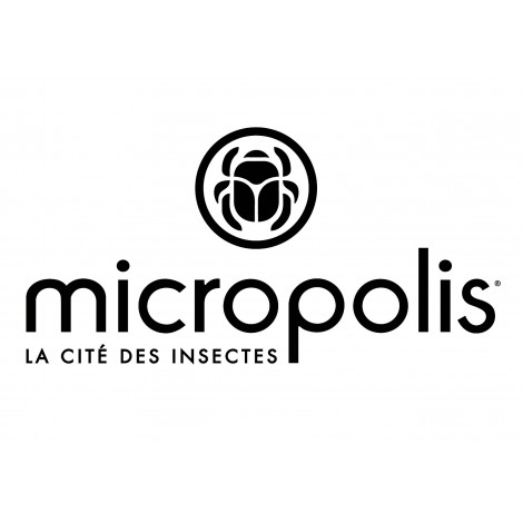 Micropolis, Saint-Léons 