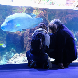 Aquarium de la Rochelle, La Rochelle  