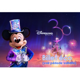 DISNEY BILLET CSE ECO 1 JOUR