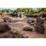 Volcan de Lemptegy - Visite à Pied 