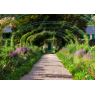 Fondation Claude Monet  : la Maison et les Jardins, Giverny 