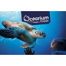 Ocearium du Croisic, Le Croisic 