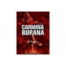 CARMINA BURANA, Montélimar 