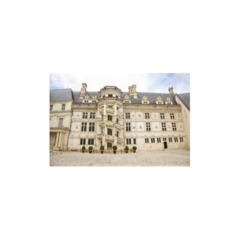 Château de Blois, Blois 