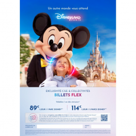 DISNEY BILLET CSE FLEX 1 JOUR