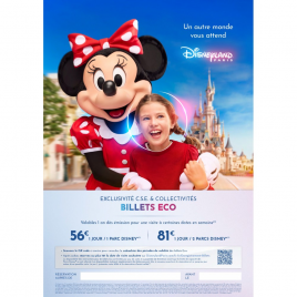 DISNEY BILLET CSE ECO 1 JOUR