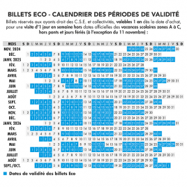 DISNEY BILLET CSE ECO 1 JOUR