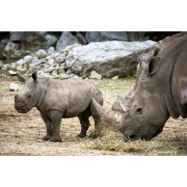 ZOO DE LA BARBEN