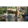 ZOO DE LA BARBEN, La Barben 