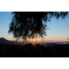 Les dormeuses, Toulon 