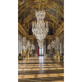 CHÂTEAU DE VERSAILLES - VISITE GUIDÉE