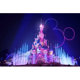 DISNEY BILLET CSE ECO 1 JOUR