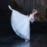 Giselle 