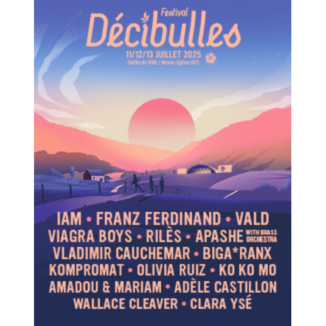 FESTIVAL DECIBULLES - PASS 1 JOUR, Neuve Eglise 