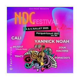 NDC FESTIVAL - PASS 1 JOUR