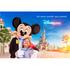 DISNEY BILLET DATE 1 JOUR CSE
