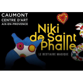 Caumont-Centre d'Art , Aix En Provence 