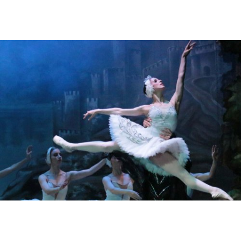 LE LAC DES CYGNES, Carcassonne, le 16/12/2025