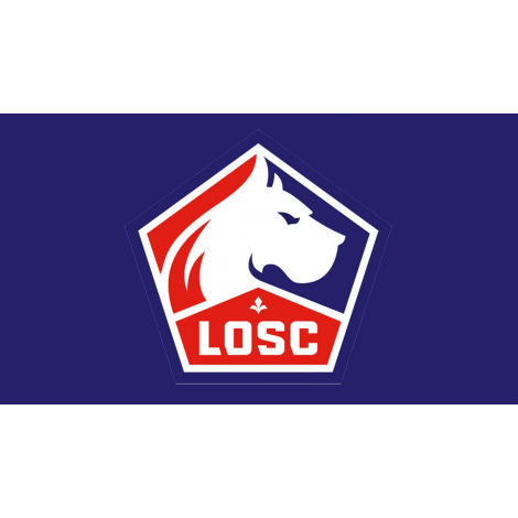 LOSC - Reims, Villeneuve D'Ascq, le 18/05/2025