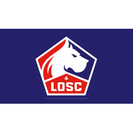 LOSC - Reims, Villeneuve D'Ascq, le 18/05/2025