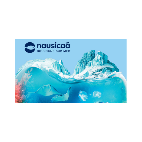 Nausicaa, Boulogne Sur Mer 