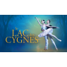 Le lac des cygnes 