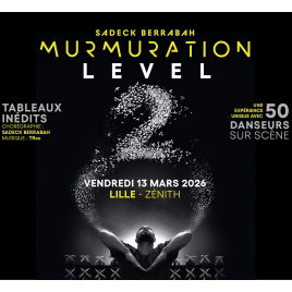MURMURATION LEVEL 2