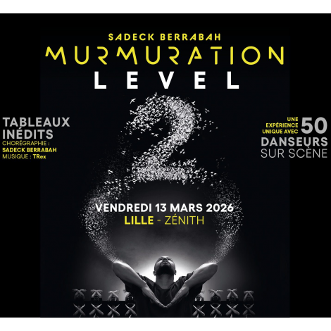 MURMURATION LEVEL 2, Lille, le 13/03/2026