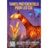 Terres de Nataé - Animaux de lumières, Pont-Scorff 