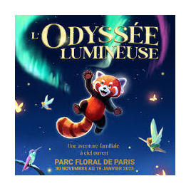 L'ODYSSEE LUMINEUSE - BILLET DATE