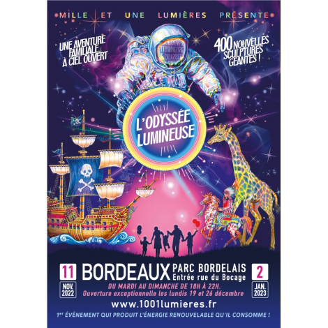 L'ODYSSEE LUMINEUSE - BILLET DATE, Bordeaux 