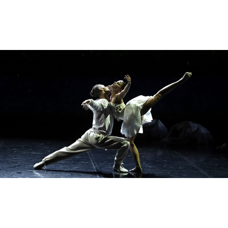 LE LAC DES CYGNES, Avignon, le 20/11/2025