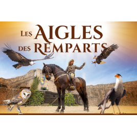 PASS PROVINS + LES AIGLES DES REMPARTS