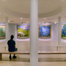 Musée Marmottan-Monet + exposition temporaire, Paris 
