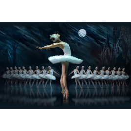 le lac des cygnes, Paris, le 04/01/2026