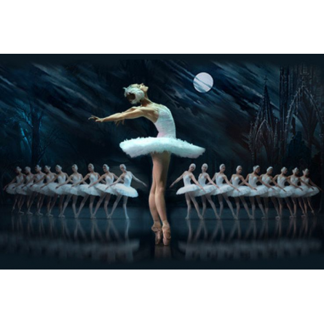 le lac des cygnes, Paris, le 04/01/2026