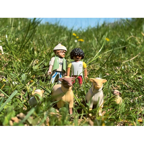 Foutue bergerie, Marseille 