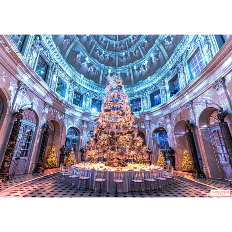 Château de Vaux le Vicomte fête Noël, Maincy 