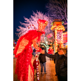 WALIBI RHONE ALPES - NOEL 2025