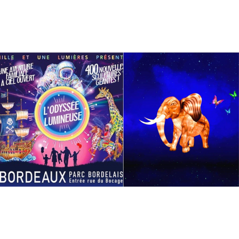 L'ODYSSEE LUMINEUSE - BILLET OPEN, Bordeaux 
