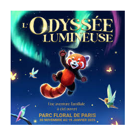 L'ODYSSEE LUMINEUSE - BILLET OPEN