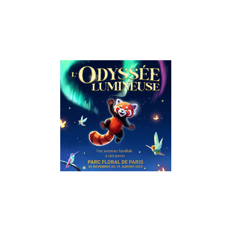 L'ODYSSEE LUMINEUSE - BILLET OPEN, Paris 