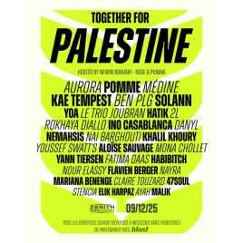 Together for Palestine, Paris 