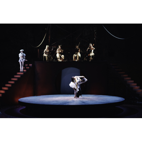 LE PETIT CIRQUE, Paris 