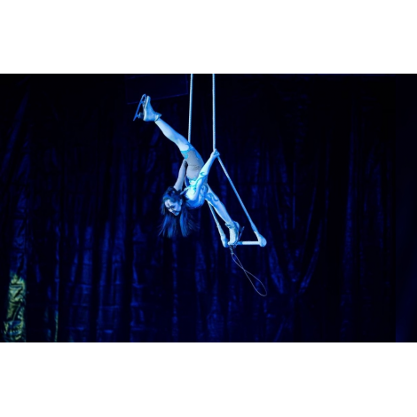 TRIUMPH, Châteaudun, le 20/12/2025