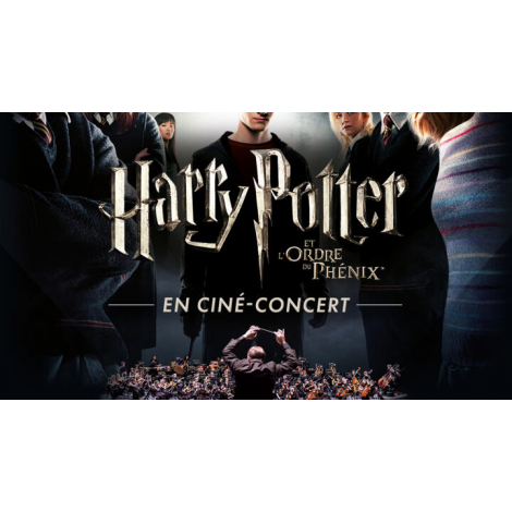 HARRY POTTER ET L'ORDRE DU PHENIX, Toulouse, le 04/01/2026