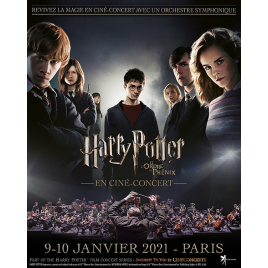 HARRY POTTER ET L'ORDRE DU PHENIX